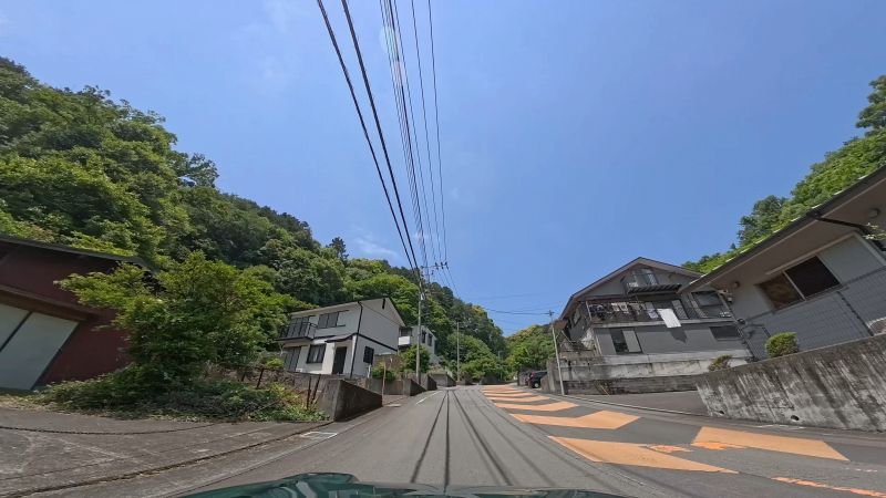 頼朝ライン